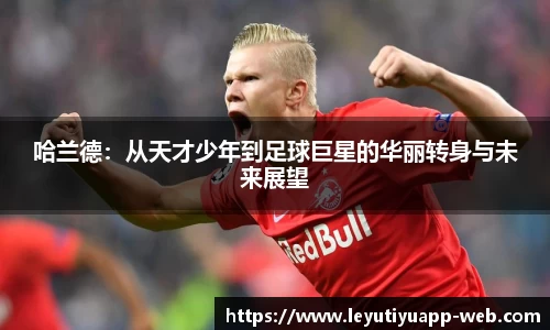 乐鱼体育平台